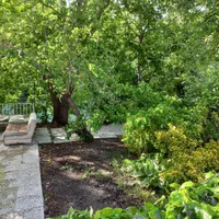 اجاره ویلا لب آب استخردارجنگلی|اجارهٔ کوتاه‌مدت ویلا و باغ|لنجان, |دیوار