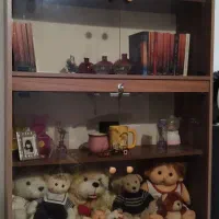 کتابخانه چوبی|کتابخانه، شلف، قفسههای دیواری|تهران, تهرانپارس غربی|دیوار