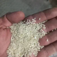 برنج کامفیروز لاشه  برنج کامفیروزی|خوردنی و آشامیدنی|یزد, |دیوار