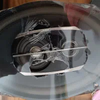 باند پایونر