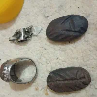 انگوشتر