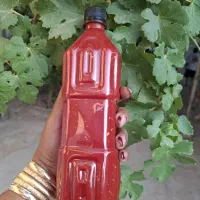 رب فلفلی سیری