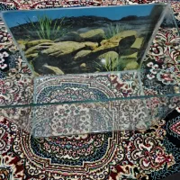 آکواریوم شیشه خم معاوضه با مرغ عشق