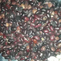 حبوبات،لوبیا،عدس،نخود،چای زیرقیمت موجودکردیم|خوردنی و آشامیدنی|شوشتر, |دیوار