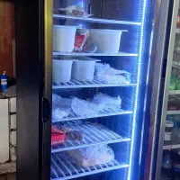 فریزر ایستاده و کتابی|کافی‌شاپ و رستوران|یزد, |دیوار