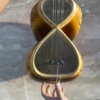 تار مستقیم از کارگاه|سازهای سنتی|تهران, پونک|دیوار