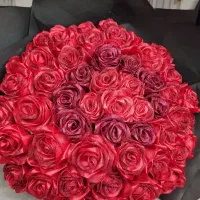 جویای کار هستم