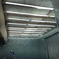 نیاز به برقکار نیمه ماهر و کارگر ساده و کار آموز|استخدام معماری، عمران و ساختمانی|اردبیل, |دیوار