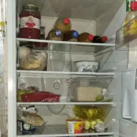 فروشی|یخچال و فریزر|شیراز, جوادیه|دیوار