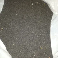 بذر پیاز خودمونی