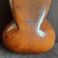 تار قدیمی ۵۰ ساله|سازهای سنتی|تهران, میدان ولیعصر|دیوار