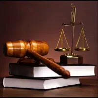 وکیل ( وکالت ) دعاوی حقوقی و تعزیرات حکومتی