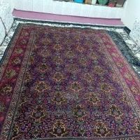 قالی ترنج|فرش|سنندج, |دیوار