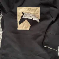 مانتوجلو باز|لباس|تبریز, |دیوار