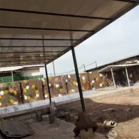 دیوارچینی ویلاسازی|خدمات پیشه و مهارت|دزفول, |دیوار