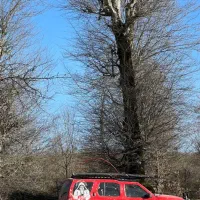 رونیز ۸۶|خودرو سواری و وانت|کرج, گلشهر|دیوار