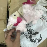 عروسک|اسباب‌‌بازی|بروجرد, |دیوار