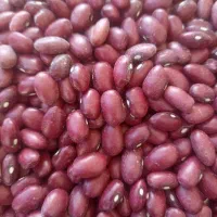 لوبیا قرمز|عمدهفروشی|رزن, |دیوار