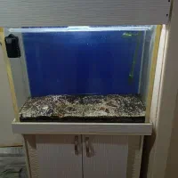 آکواریوم با کمد و وسایل و شن