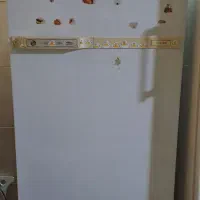 یخچال ۱۰ فوت آزمایش