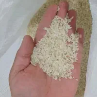 برنج کامفیروزی|خوردنی و آشامیدنی|شیراز, گویم|دیوار