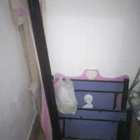 دوچرخه و تخت خواب