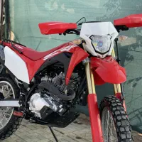 باسل (توسن) ۲۵۰