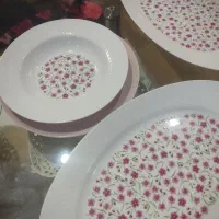 سرویس چینی زرین ۲۷ پارچه