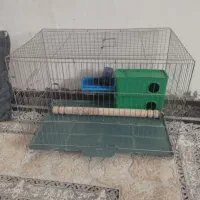 قفس با تمام وسایل ارزان