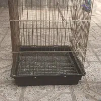 قفس بزرگ