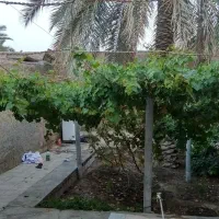 خونه ویلایی