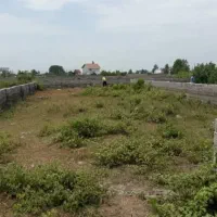 زمین کلنگی