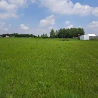 فروش-زمین-مسکونی-توربگوده