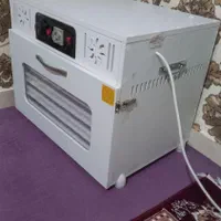 خشک کن میوه خانگی دیجیتالی