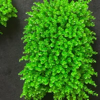 دیوار سبز دکوری