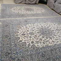 فرش دستباف کاشان|فرش|کرمانشاه, |دیوار