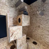 دکور اتاق بازی گربه و سگ|لوازم جانبی حیوانات|تهران, قیطریه|دیوار