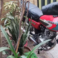 فروش موتورسیکلت.هنداcc۱۵۰..پنجدنده|موتورسیکلت|تهران, صفا|دیوار