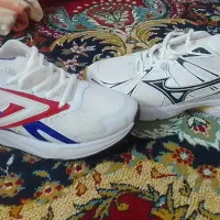 کتونی ژیگولانس