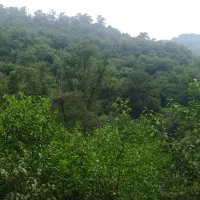 زمین مسکونی