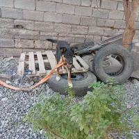 یک قلاده سگ|سگ|جیرفت, |دیوار