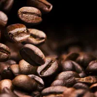 استخدام نیروساده و ماهر و راننده باجای خواب قهوه|استخدام صنعتی، فنی، مهندسی|تهران, شادآباد|دیوار