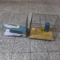 قفس پرنده
