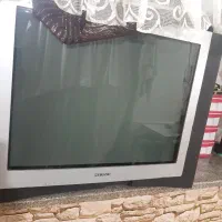 تلوزیون