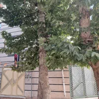 رهن-و-اجاره