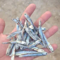 ماهی خشک برای کشاورزی و خوراک دام