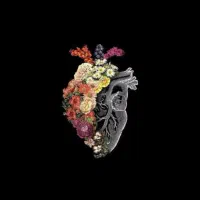 همراهی برای خرید و کمک در جابجایی روزمره