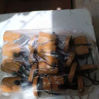 سرپیچ لامپ یا همان بادروم متحرک|لامپ و چراغ|تبریز, |دیوار