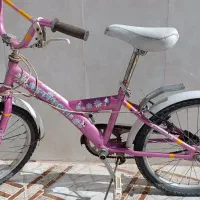 دو عدد دوچرخه 12و 20