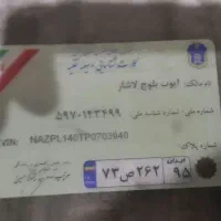 گارت ماشینپیدا شده